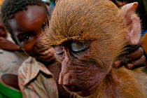 Mozambican children with captive Yellow Baboon (Papio cynocephalus) youngster, caught during troop crop raiding. Pemba to Montepuez highway, north-eastern Mozambique. No release available.