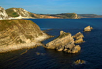 Mupe Rocks at Mupe Bay, east Dorset, UK. September 2005.