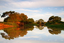 Tributary of the Rio Tres Irmaos (Three brothers river) in the Northern Pantanal, Mato Grosso, Brazil August 2011
