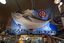 Bluefin tuna display at fish market at Shimonoseki, Yamaguchi prefecture, Japan, April 2012