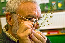 Botanist Ray Woods identifying grass species with an eye piece.  Radnorshire Wildlife Trust Nature Reserve, Wales, UK, June.