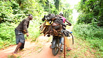 THIS VIDEO CLIP WILL BE AVAILABLE TO VIEW ONLINE SOON. TO VIEW NOW, PLEASE CONTACT US. - Motorcycle loaded with primate bushmeat driving off, Lidjombo forest road, near Dzanga-Ndoki National Park, San...