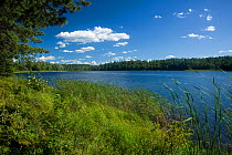 View of Blind Ash Bay along the Blind Ash Bay Trail in Voyageurs National Park. Minnesota, USA, August 2011