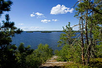 View of Kabetogama Lake along the Blind Ash Bay Trail in Voyageurs National Park. Minnesota, USA, August 2011