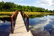 Bridge crossing Daley Bay along the Kab-Ash Trail in Voyageurs National Park. Minnesota, USA, August 2011
