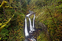 Triple Falls, Columbia River George National Scenic Area, Oregon, USA, November 2010