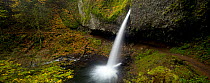 Upper Horsetail (Pony Falls), Columbia River George National Scenic Area, Oregon, USA, November 2010
