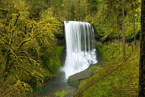Middle North Falls in Silver Falls State Park, Oregon, USA, May 2011