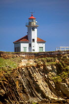 Rocky shoreline and Cape Arago Lighthouse near Sunset Bay State Park, Oregon, USA, May 2011