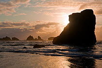 Bandon beach from Face Rock Viewpoint at sunset Oregon, USA, June 2012
