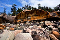 Rock formations at Shore Acres State Park near Charleston, Oregon, USA, June 2012