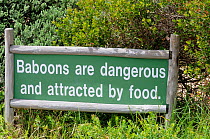 Baboon warning sign. Cape Point. Table Mountain National Park, Cape Town, South Africa, October