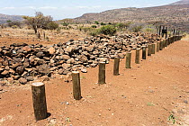 Gap in boundary fence to allow elephant migration but block rhino movement, Lewa Conservancy, Laikipia, Kenya, September 2012