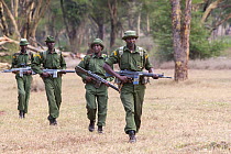 Armed anti-poaching patrol, Lewa Conservancy, Laikipia, Kenya, September 2012
