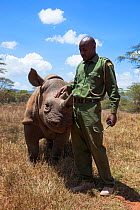 Black rhinoceros (Diceros bicornis) orphaned calf with security officer John Tanui at Lewa Wildlife Conservancy, Laikipia, Kenya, Africa, September 2012