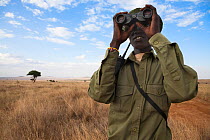 Member of the Rhino patrol, partly funded by Save the Rhino international, looks out using binoculars, Lewa Conservancy, Laikipia, Kenya, September 2012