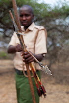 Big Life ranger demonstrating poisoned arrow used in elephant poaching, Mbirikani group ranch, Chyulu Hills, Amboseli-Tsavo ecosystem, Kenya, October 2012