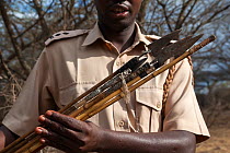 Confiscated poisoned arrows used in elephant poaching, Mbirikani group ranch, Chyulu Hills, Amboseli-Tsavo ecosystem, Kenya, October 2012