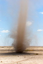 Dust devil in Amboseli National Park in dry season, Kenya, October 2012