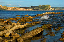 Mupe Rocks, Mupe Bay in East Dorset, UK, September 2007