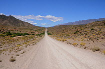 The road from Lainsburg to Calitzdorp, Little Karoo, Western Cape, South Africa, November