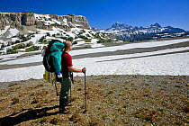 Man hiking along the Teton Crest Trail between Marion Lake and Fox Creek Pass, Grand Teton Natoinal Park. Wyoming, USA, July 2011. Model released