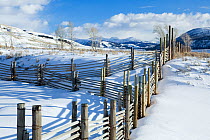 Fence line, Buffalo Ranch, Lamar Valley of Yellowstone National Park. Wyoming, USA, January 2012