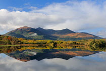 Macgillycuddy's reeks and Lough Lean lower, photographed from Ross castle, Killarney, County Kerry, Republic of Ireland, November 2011