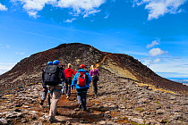 Tourists hiking to the Thrihnukagigur volcano, for a tour of the inside of this now dormant volcano, Iceland, Europe, June 2012