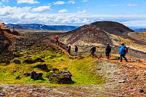 Tourists hiking to the Thrihnukagigur volcano, for a tour of the inside of this now dormant volcano, Iceland, Europe, June 2012