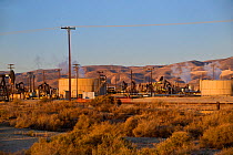 Oil derricks and storage tanks in a working oil field, Southern Kern County, California, USA