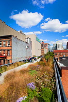 People walking on the High Line, a mile long New York City park on a section of former elevated railroad along the Lower West Side, New York, USA 2011