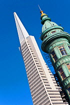 Looking up Trans America Pyramid and Columbus Tower, San Francisco, California, USA 2011