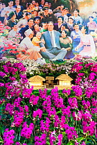 Flower show and idealised painting to celebrate Kim Il Sung's 100th Anniversary, Kimilsungia Flower Exhibition Hall, Pyongyang, North Korea, Democratic Peoples' Republic of Korea (DPRK) 15 April 2012