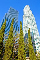 Looking up at skyscrapers in downtown Los Angeles, California, USA, July 2011