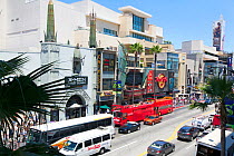 Mann's Chinese Theatre on Hollywood Boulevard, Los Angeles, California, USA