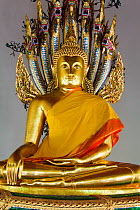 Wat Pho, Meditating Buddha Statue, Bangkok, Thailand, 2010