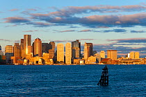 City skyline viewed across harbour at dawn, Boston, Massachusetts, USA 2009