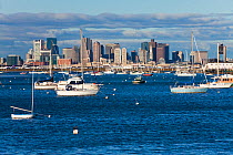 City skyline and boats moored in harbour at dawn, Boston, Massachusetts, USA 2009