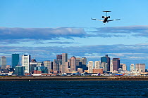 City skyline viewed behind Boston International Airport, Boston, Massachusetts, USA 2009