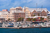 Luxury office buildings lining Hamilton harbour, Bermuda 2007