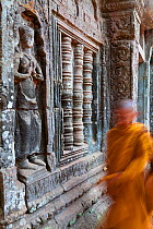 Buddhist monk walking past Ta Phrohm Temple, Angkor Wat, Siem Reap, Cambodia 2010