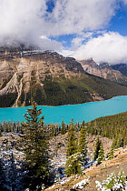 Peyto Lake, coloured by glacial silt, Banff-Jasper National Parks, Alberta, Canada, 2007