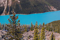 Peyto Lake, coloured by glacial silt, Banff-Jasper National Parks, Alberta, Canada, 2007