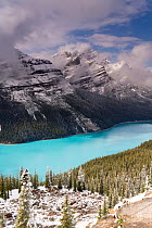 Peyto Lake, coloured by glacial silt, Banff-Jasper National Parks, Canada, 2007