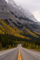 The Icefields Parkway, route between Banff and Jasper in Banff-Jasper National Parks, Rocky Mountains, Canada, 2007