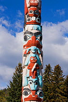 Totem Pole, Jasper National Park, Rocky Mountains, British Columbia, Canada