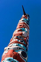Looking up Totem Pole, Jasper National Park, Rocky Mountains, British Columbia, Canada