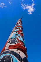 Looking up Totem Pole, Jasper National Park, Rocky Mountains, British Columbia, Canada