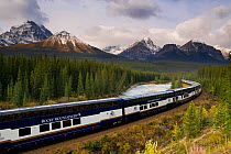 The Rocky Mountaineer tourist passenger train at Morant's Curve on the CPR line along the Bow River near Lake Louise in Banff National Park, Alberta, Canada 2007
